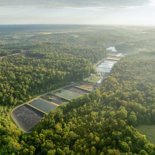 Vista aérea de la criadera King and Queen