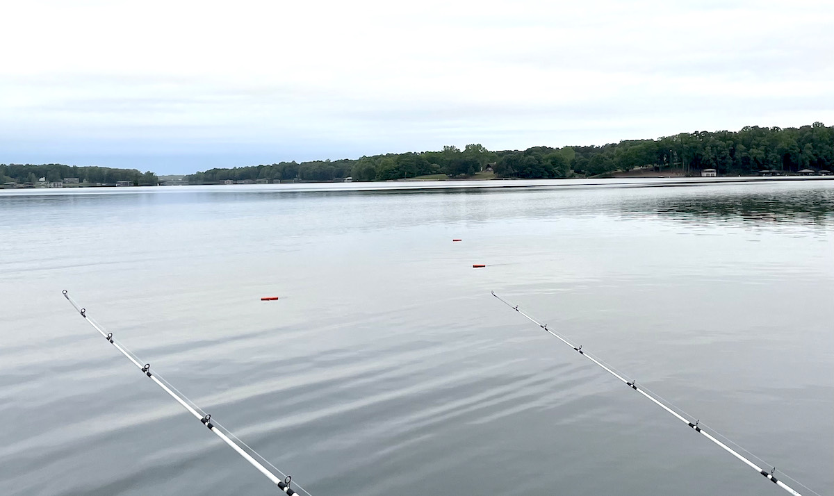 Una imagen de una tabla plana en el agua; Son pequeños y rojos y están unidos a un dispositivo similar a una caña de pescar en el bote