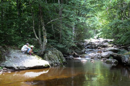 Una chica pescando en un arroyo de montaña más profundo