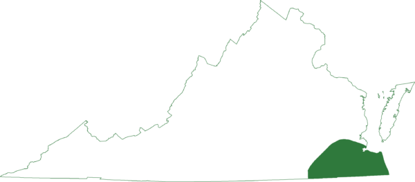 La pequeña rana de hierba se encuentra en las regiones del sureste de Virginia