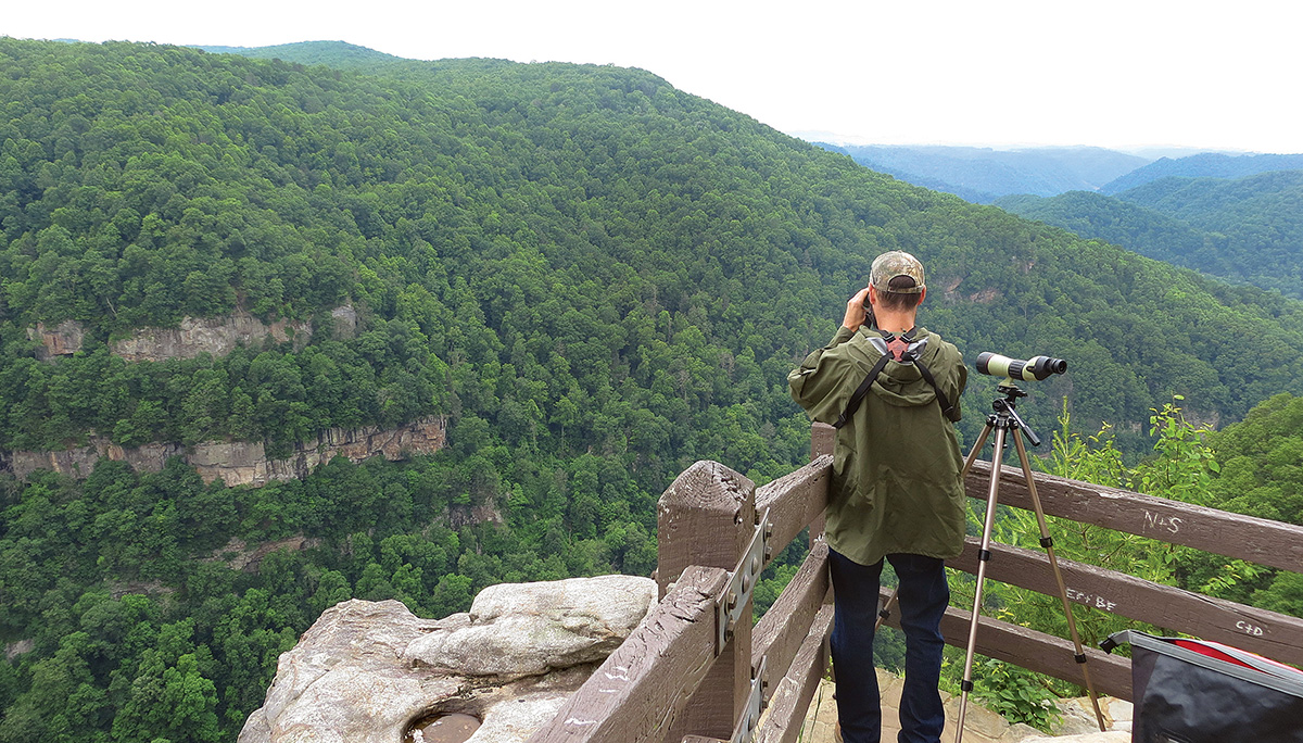 Un empleado del DWR realiza un estudio del halcón peregrino en un panorama natural
