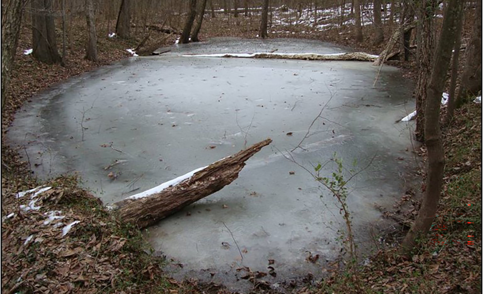 Una foto del mismo pequeño estanque lleno de agua y cubierto de hielo.