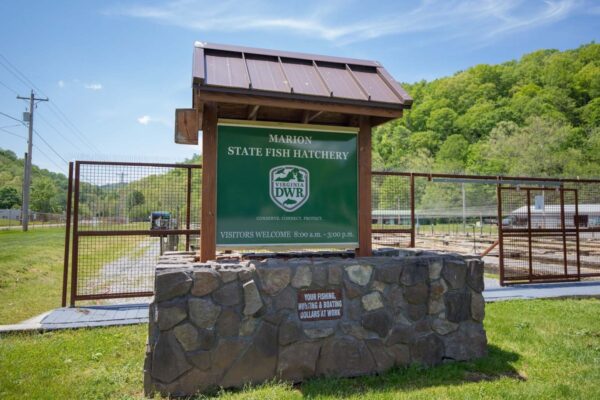 El afiche de bienvenida de la piscifactoría Marion