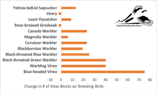 Un gráfico en la Presencia a nivel de Manzana de Pájaros Cantores de Montano, hay pocos picogruesos de pecho rosado y veeries y muchos vireos de cabeza azul