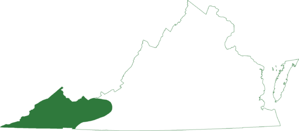 La rana coro de montaña se encuentra en las regiones montañosas más occidentales de Virginia