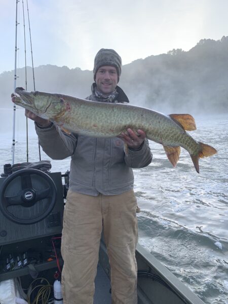 Una imagen de Muskellunge