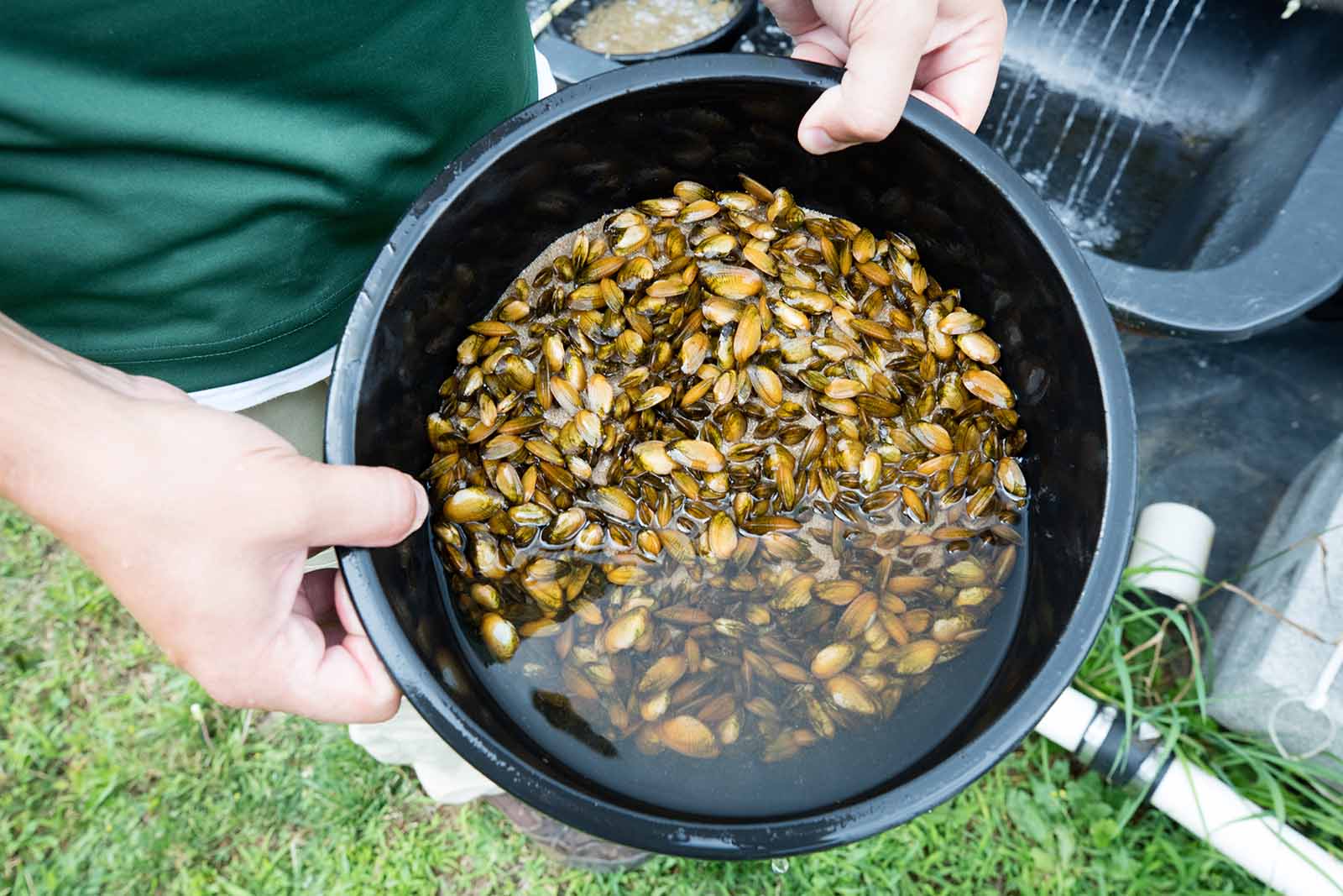 Haga clic para ampliar la imagen