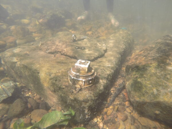 Una caja nido de salamandra descansando en el fondo del arroyo. La tapa en la parte superior se utiliza para el monitoreo.