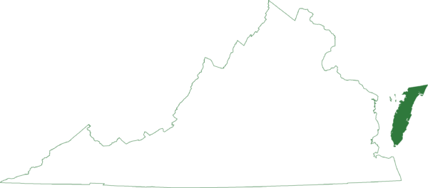 La rana coro de Nueva Jersey solo se encuentra en Chincoteague, Virginia