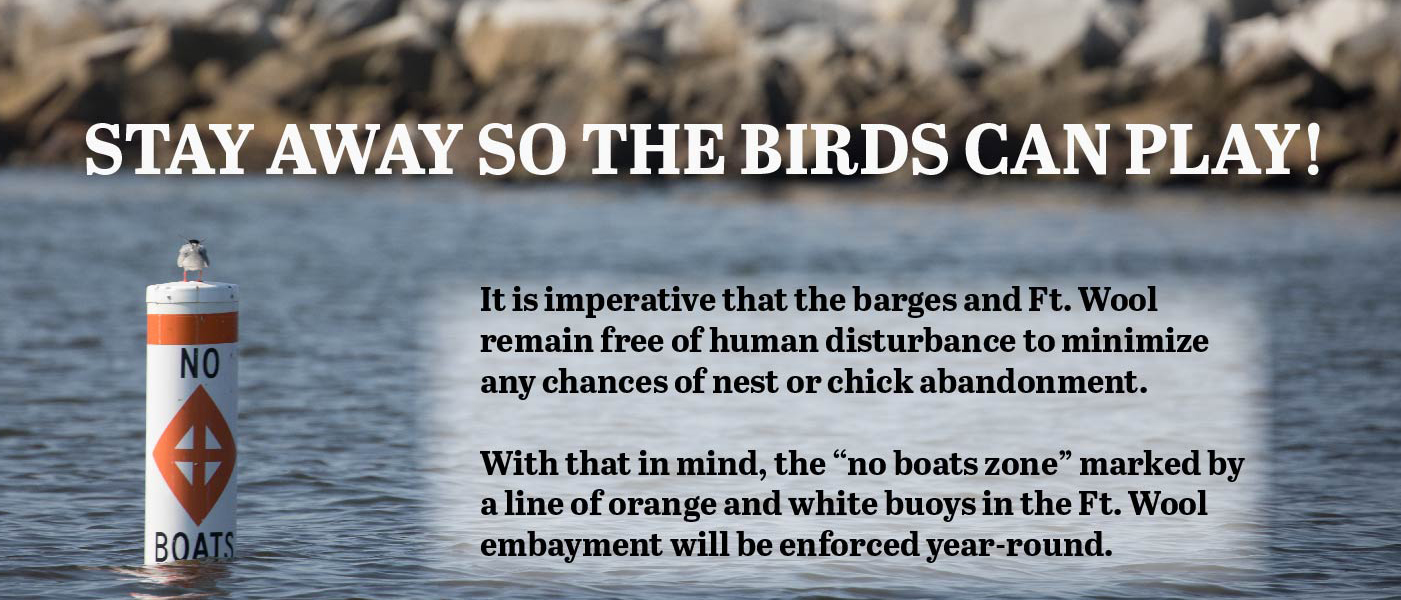 Una imagen que indica que Fort Wool y las barcazas deben estar libres de perturbaciones humanas para fomentar la anidación de aves playeras