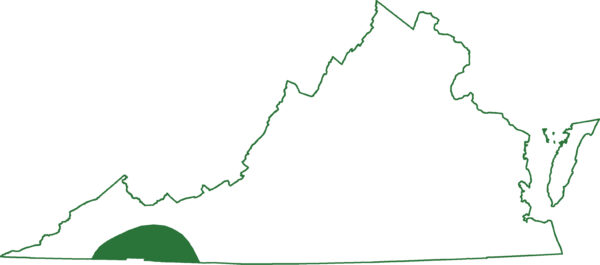 La salamandra pigmea del norte se encuentra en una sola región de Virginia