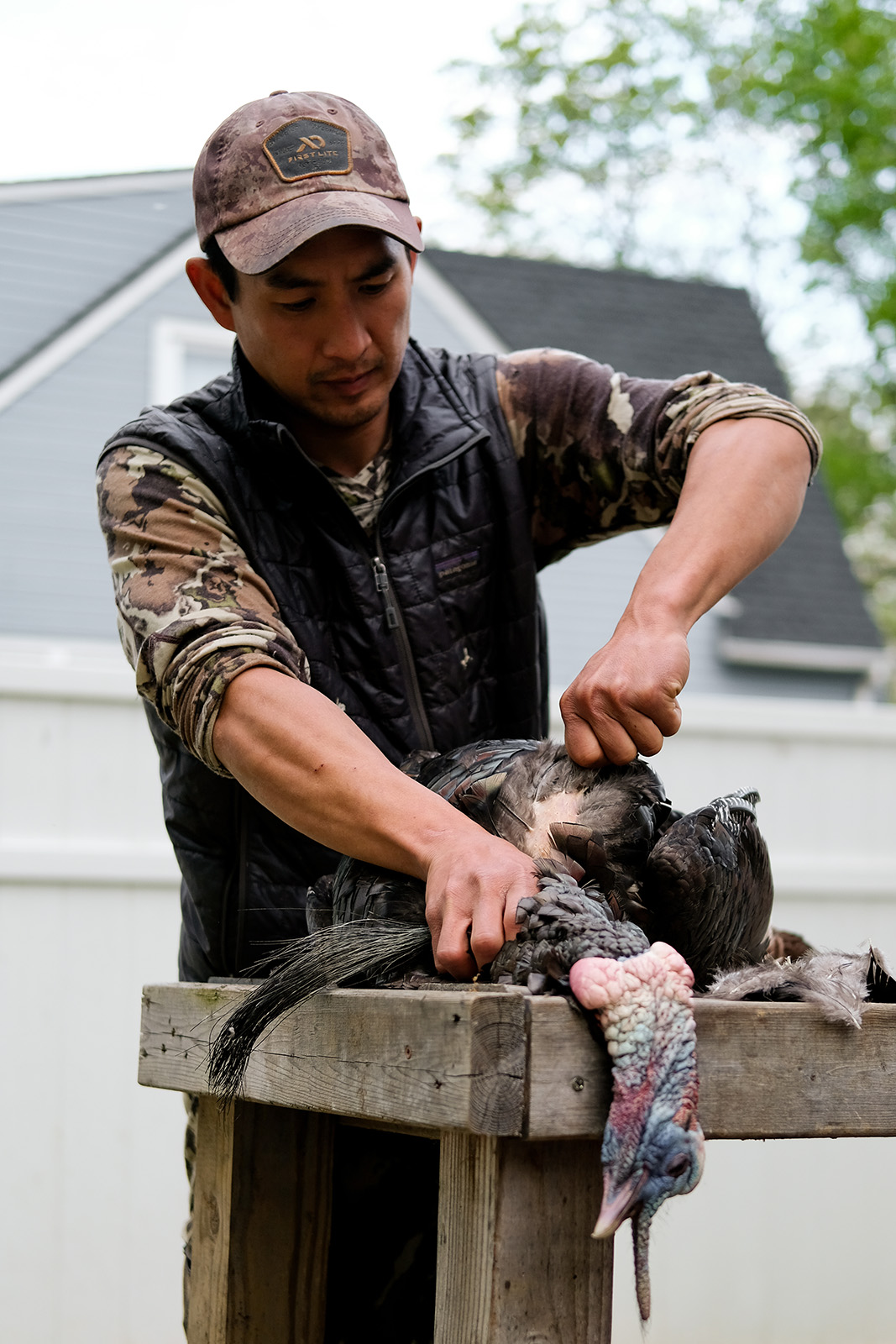 Una foto de un pavo salvaje capturado en una mesa al aire libre, con un hombre arrancándole las plumas.