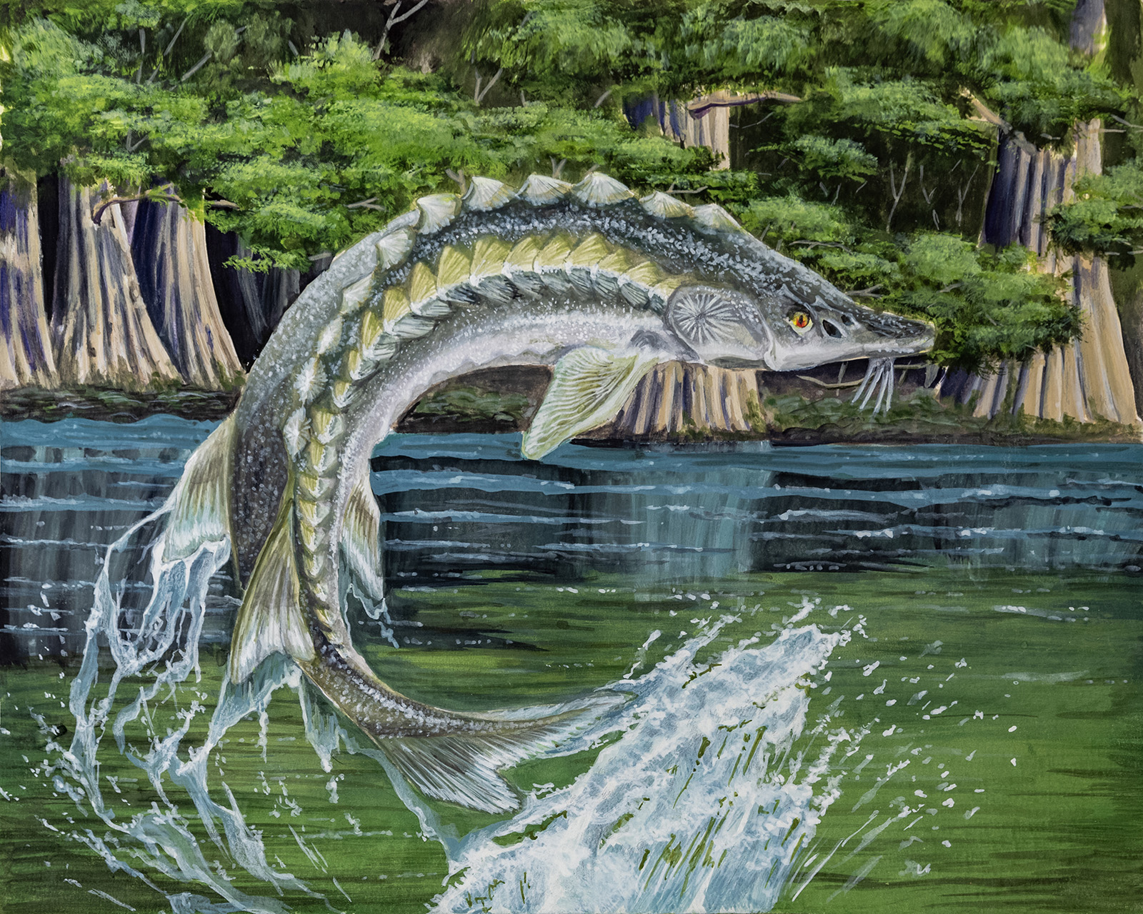 Una pintura de un esturión del Atlántico saltando, o saltando, fuera del agua.