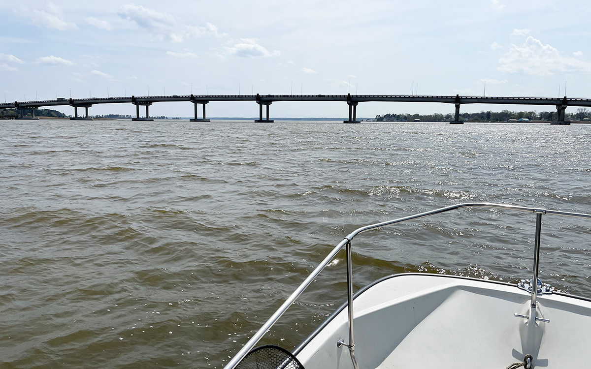 Una imagen del río York tomada desde un barco mirando a un puente que cruza el cuerpo de agua
