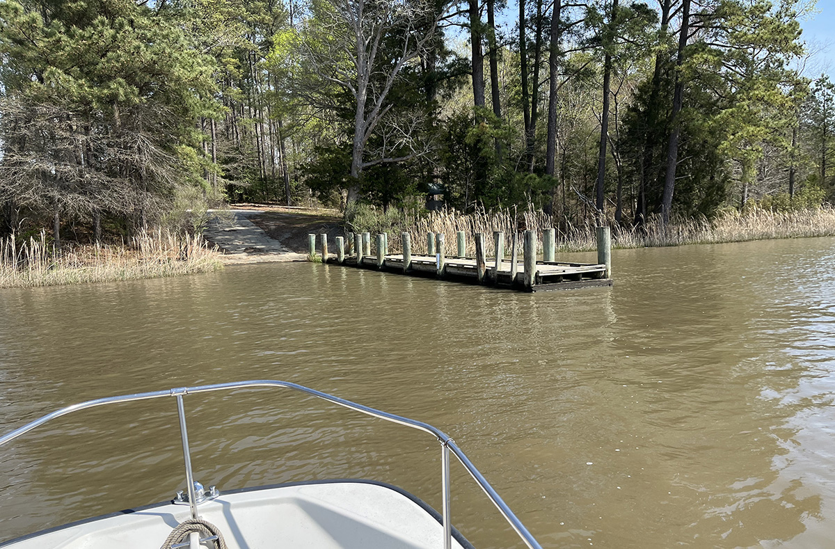 Una imagen de un muelle de desembarco que conduce a un bosque caducifolio tomada desde un barco