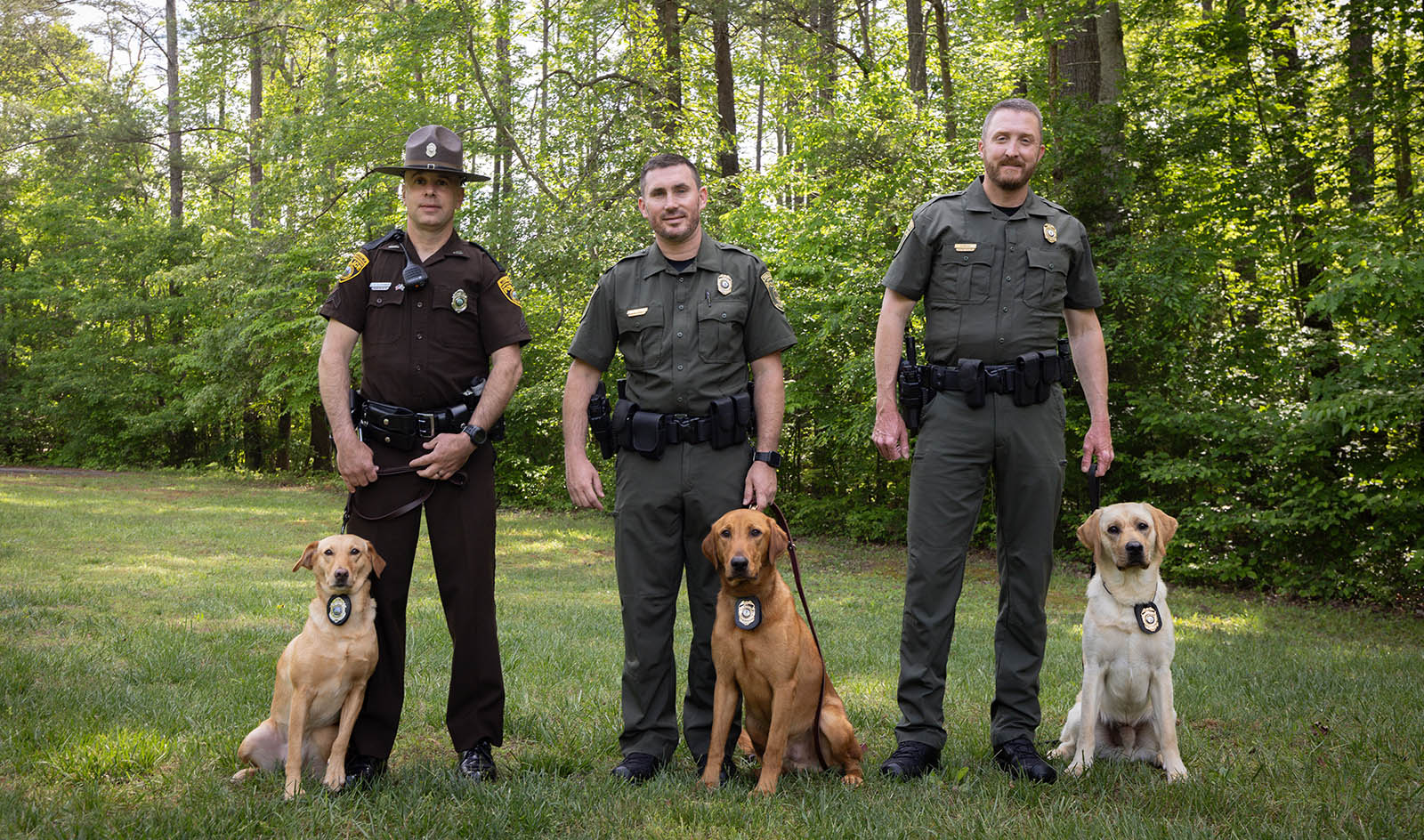 Una foto de tres agentes de la ley uniformados parados en una fila, con tres perros labrador retriever a sus pies con insignias.
