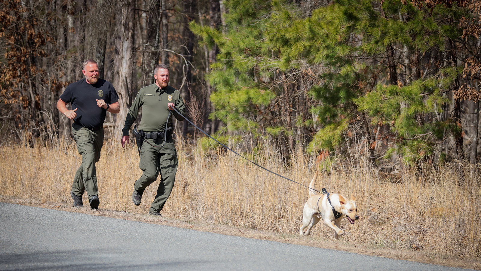 Una foto de un perro labrador retriever corriendo con una correa larga atada, sostenido por un oficial de la ley que está corriendo. Otro oficial que corre detrás de él mientras corren al costado de una carretera.