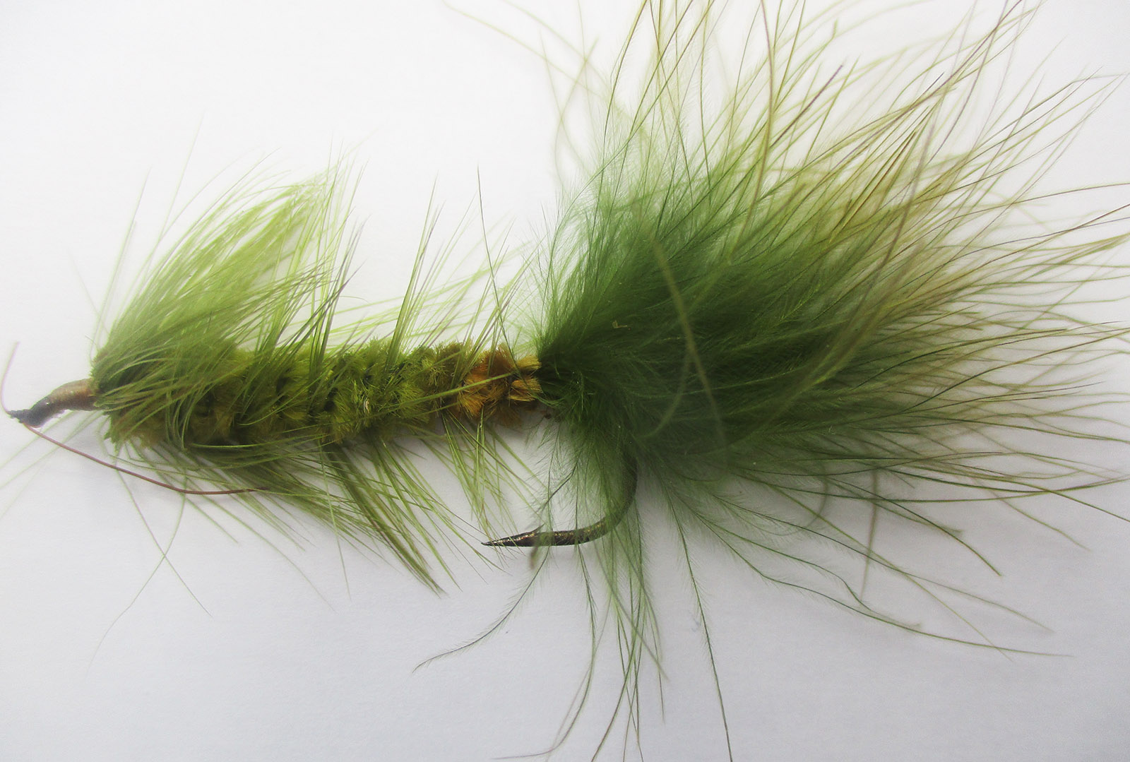 Una foto en primer plano de una mosca de pesca verde y esponjosa.