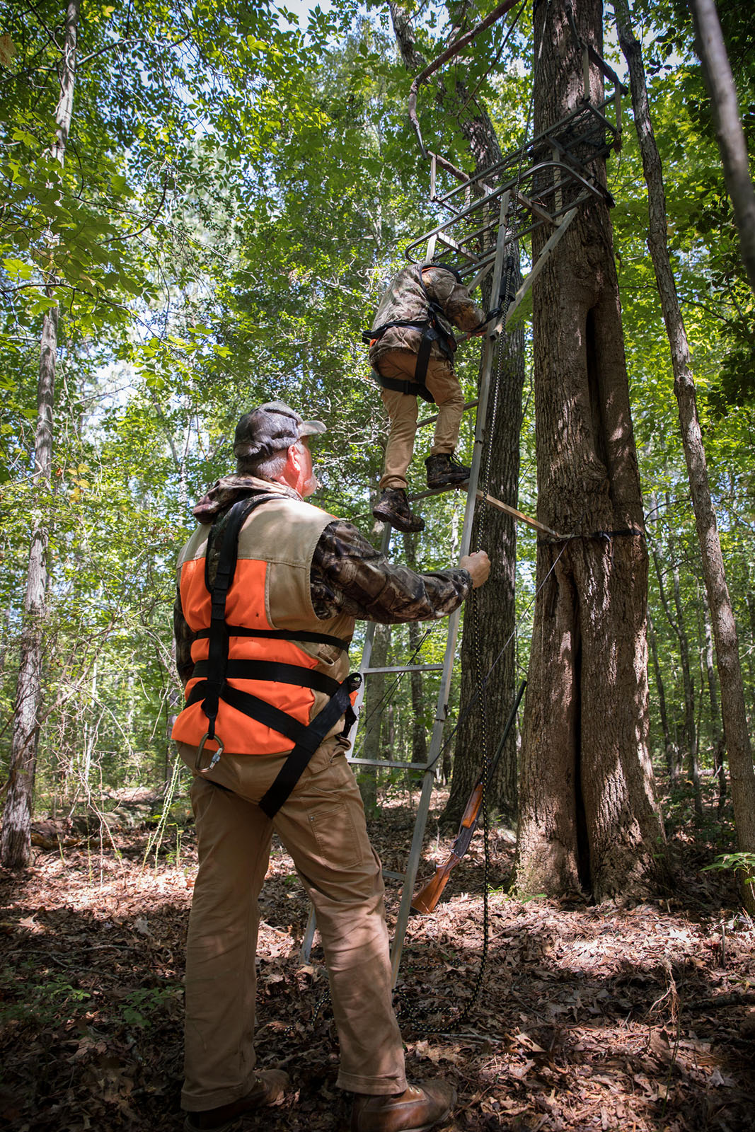 Una foto de un hombre mayor vestido de naranja brillante y un arnés de seguridad observando cómo un joven sube la escalera hacia un puesto de árboles con un arnés de seguridad.