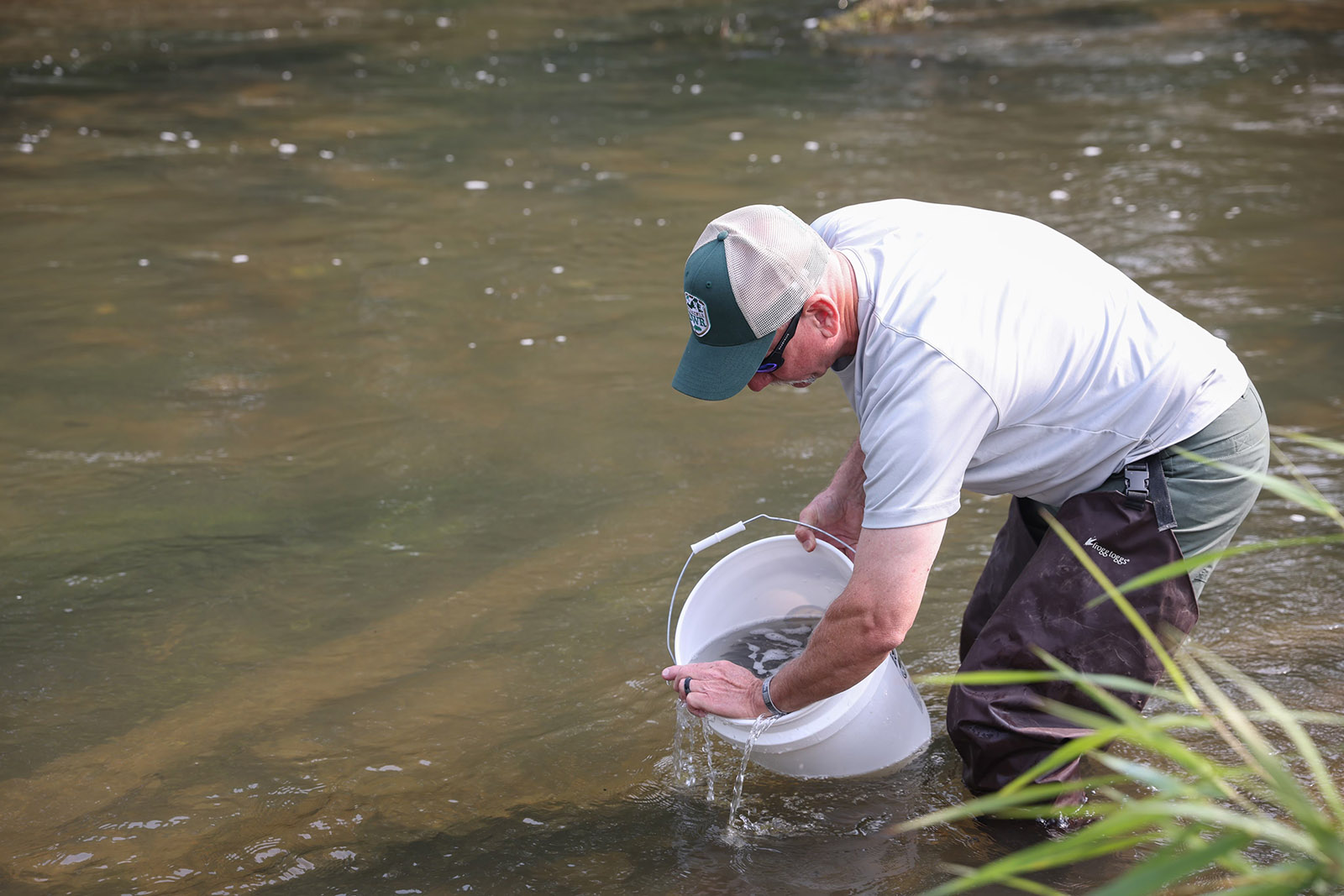 Una foto de un empleado de DWR metido hasta las rodillas en un río, sosteniendo un balde blanco de cinco galones con agua y peces pequeños en él.