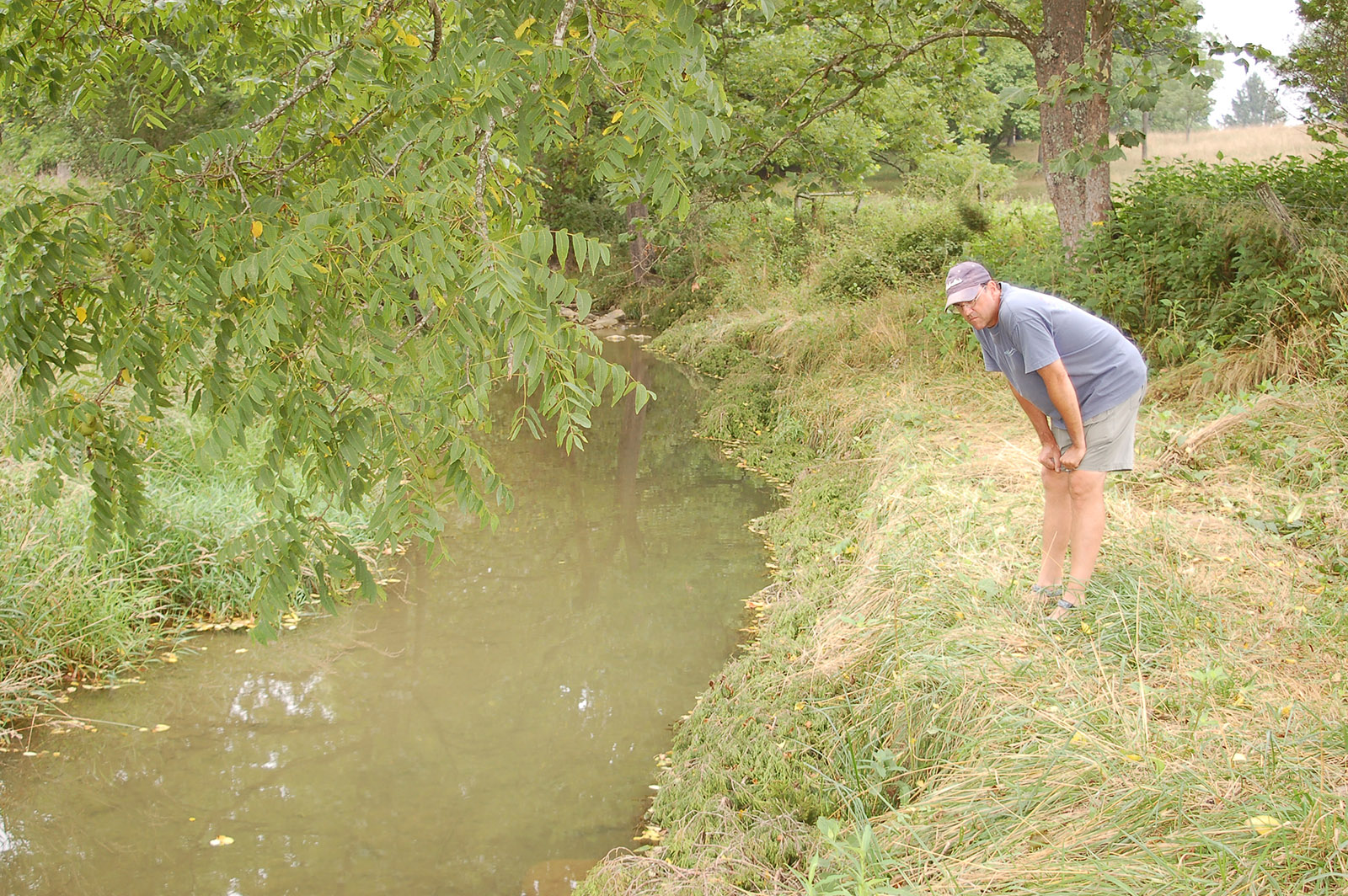 Una imagen de un mapa mirando un pequeño arroyo cubierto de hierba