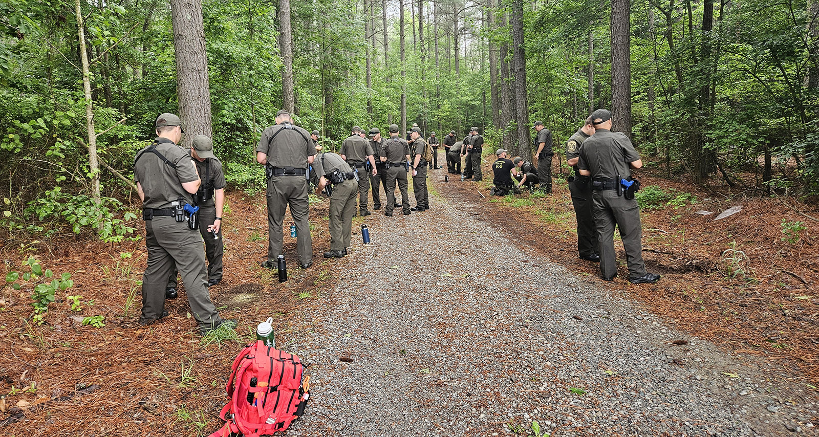 Un grupo de hombres y mujeres uniformados en el bosque, examinando el suelo en grupos.