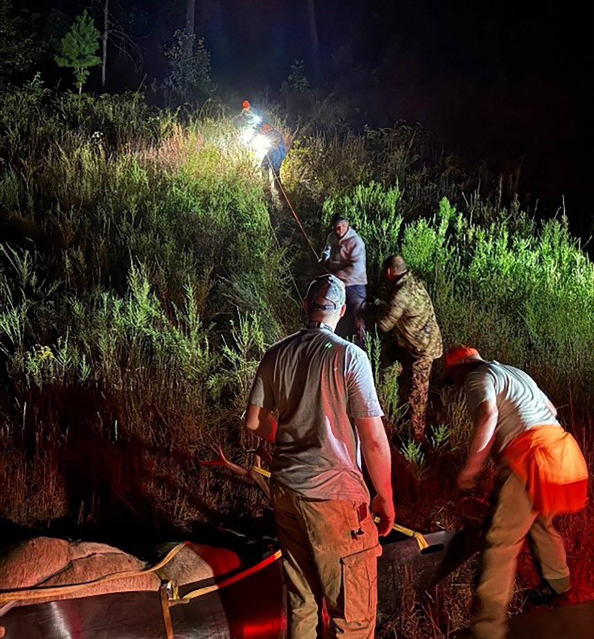 Una foto tomada por la noche de hombres con faros bajando un alce en un trineo por una colina empinada.