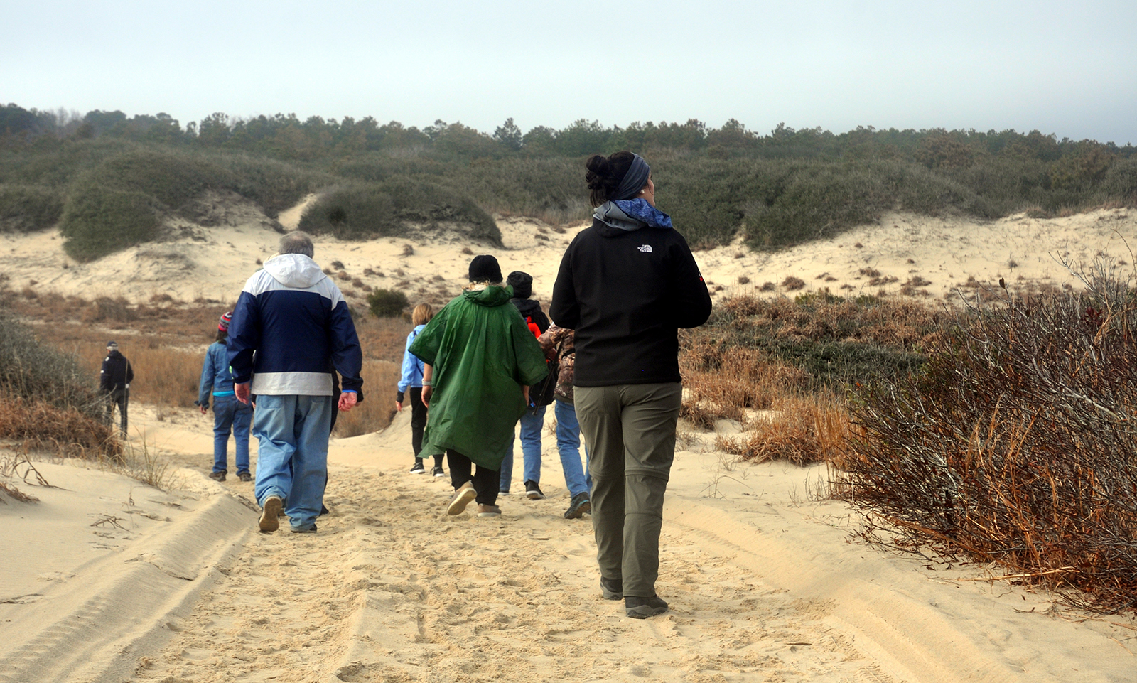 Una foto de un grupo de personas alejándose de la cámara en un camino a través de grandes dunas de arena y matorrales.
