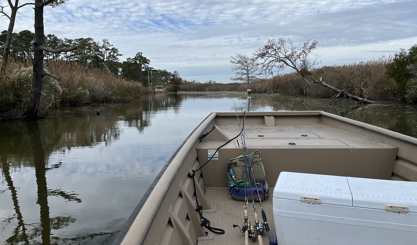 Una foto de la proa de un barco empujando a través de un estrecho canal de agua con marcha a ambos lados.