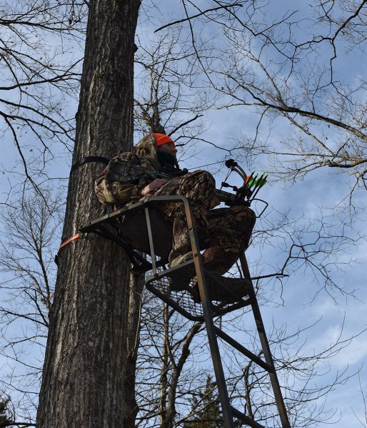 Una imagen de un cazador con un arco, una flecha colocada en la piel de un árbol, en busca de un ciervo