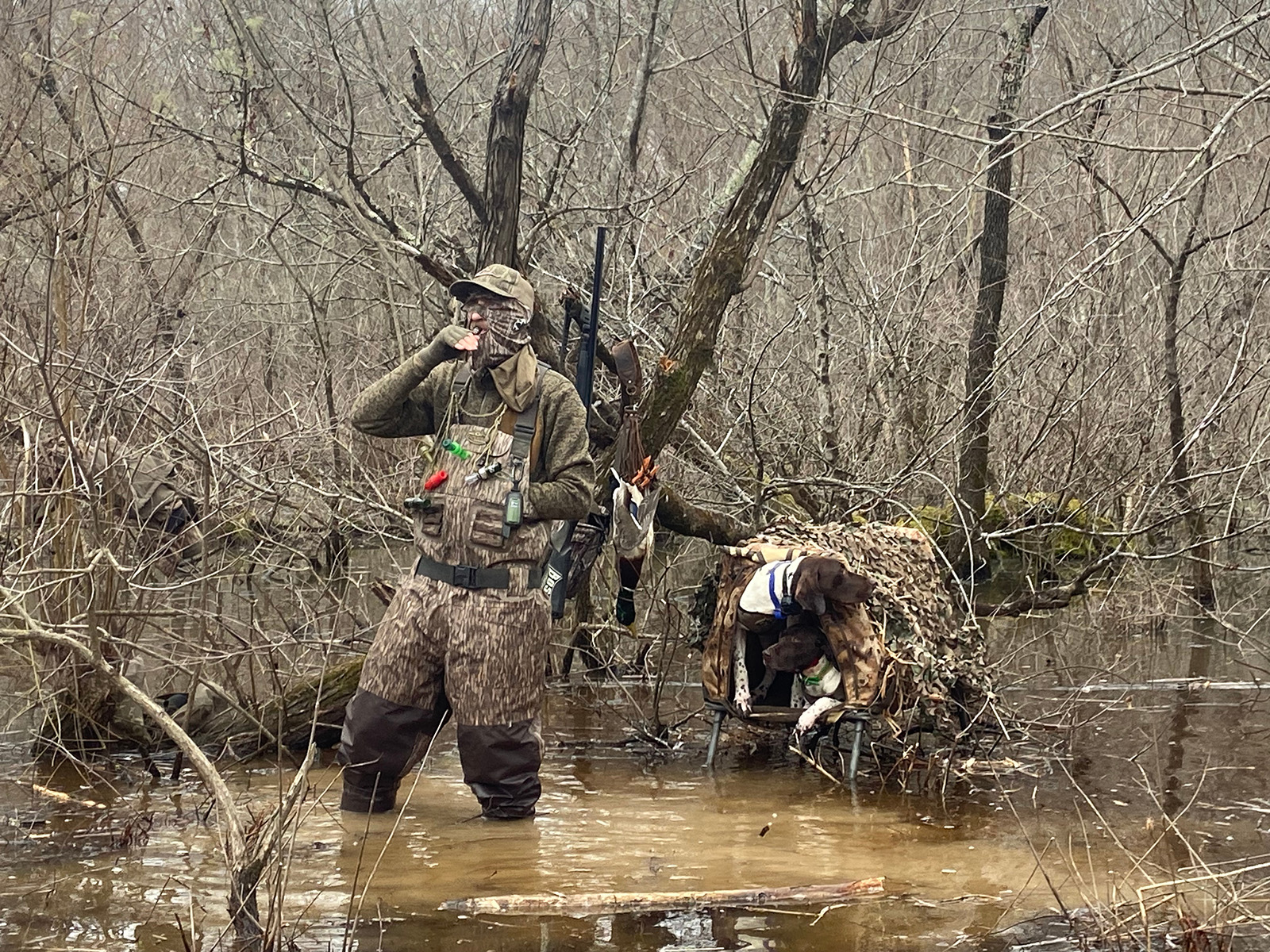 Una foto de un cazador de patos vadeando en un pantano, vestido con un camuflaje de color más oscuro. Un perro que se recupera en una jaula elevada sobre el agua está a su lado.