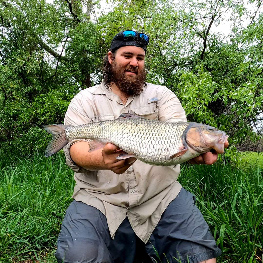Una foto de un hombre arrodillado en la orilla de un río sosteniendo un gran pez que cae en la mano.