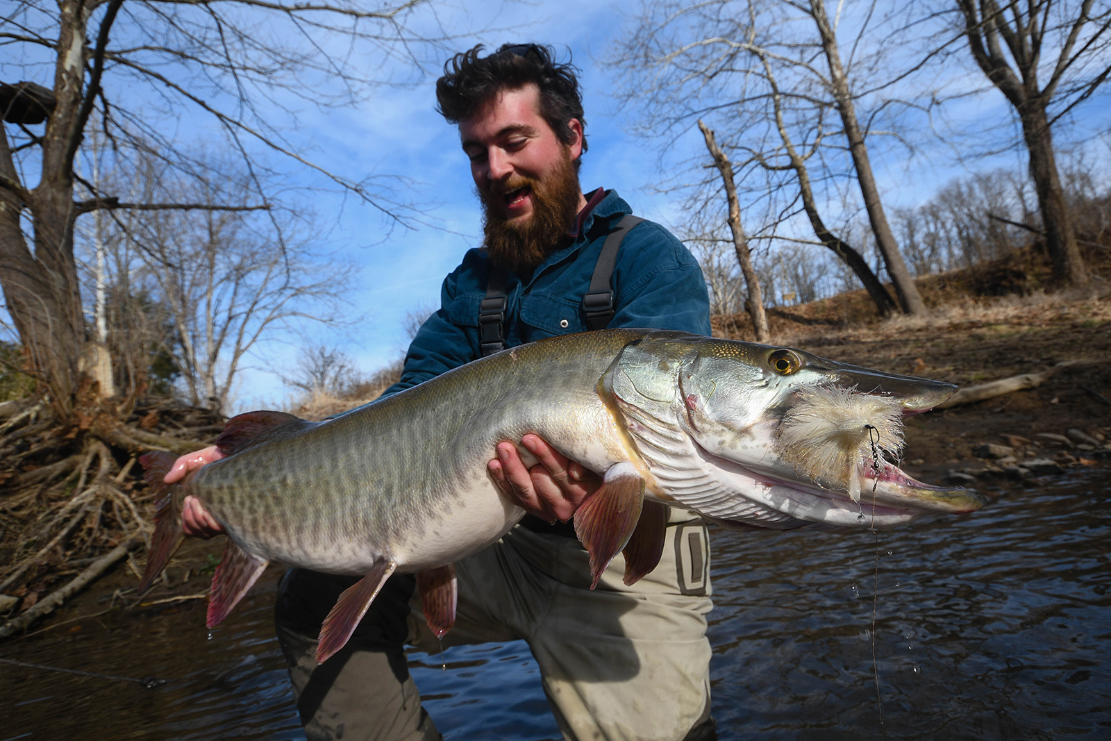 Una foto de un pescador sonriendo y sosteniendo un pez grande y largo con las manos debajo de las branquias y alrededor de la cola.