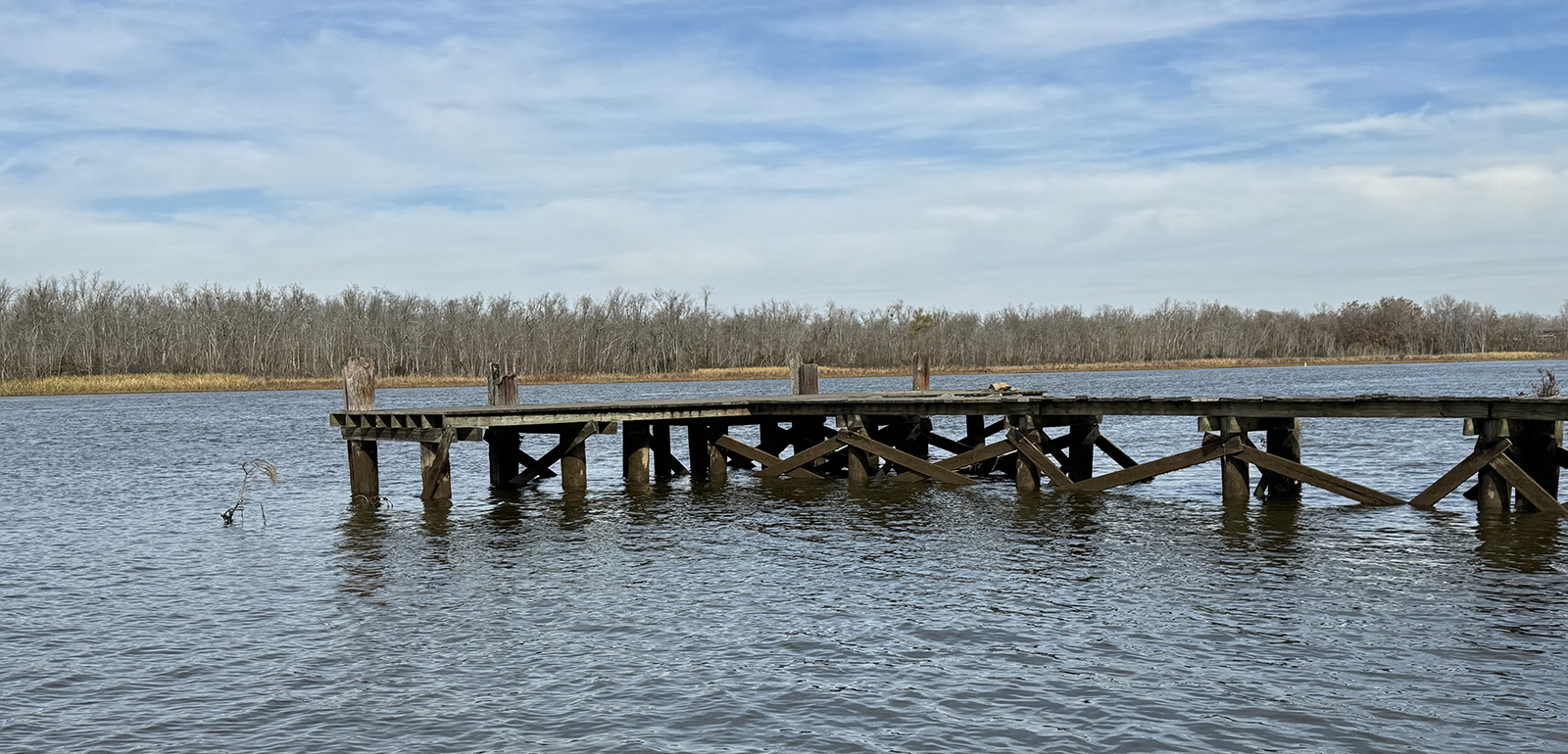 Una foto de un gran muelle de madera situado en un río.