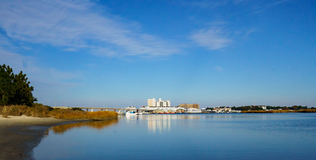 La vista desde el área natural de Pleasure House Point