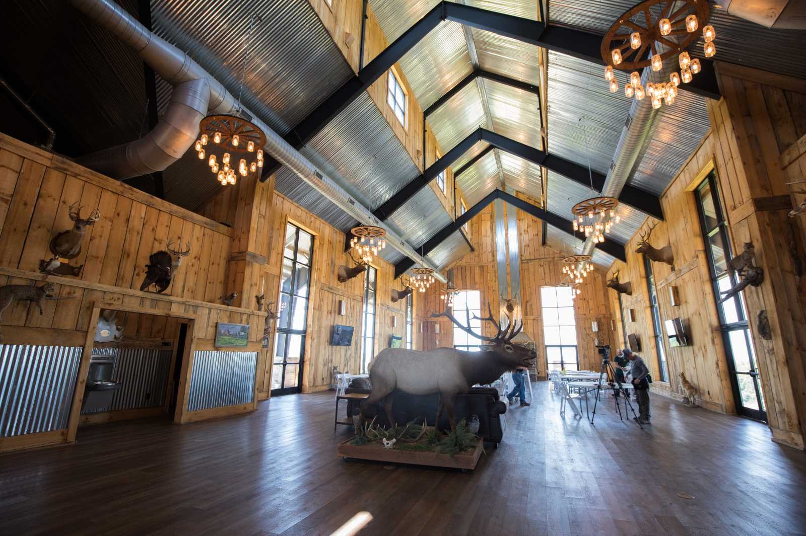 Una foto del interior de un gran edificio abierto con fauna taxidermizada y grandes ventanales.
