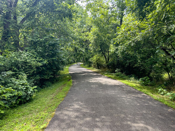 El sendero pavimentado se aleja del muelle y se adentra en una zona boscosa donde los pájaros gatos grises "maúllan" entre los matorrales. Crédito de la foto: Lisa Mease