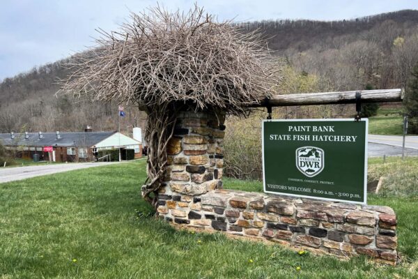 El afiche de bienvenida de la piscifactoría Paint Bank