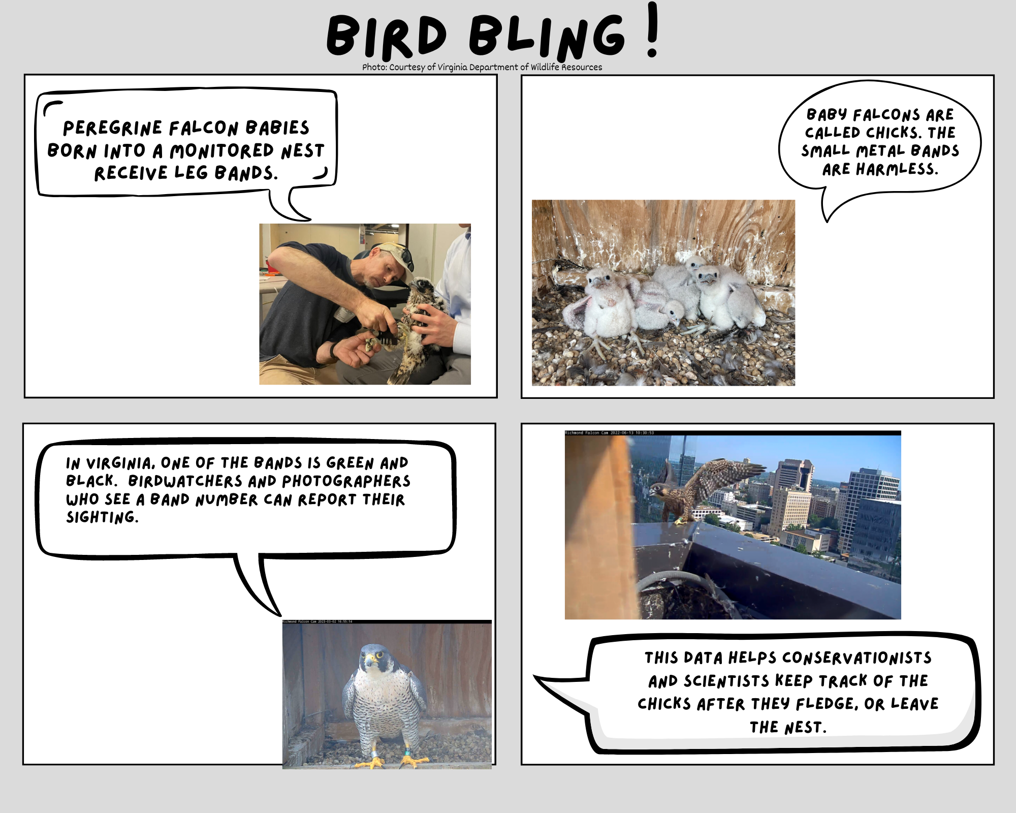 Un webcomic creado por estudiantes de la escuela primaria Colonial Trail