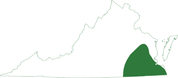 Un mapa de distribución que muestra el área de distribución de la rana arborícola de los pinares.