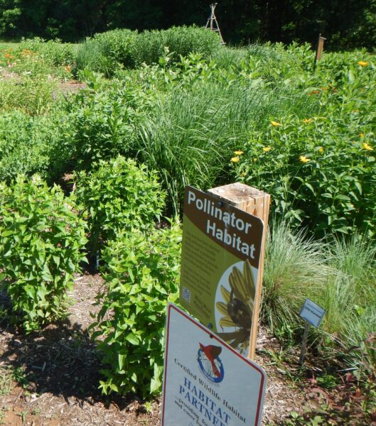 Jardín de demostración del hábitat de los polinizadores en el parque Pleasant Grove,