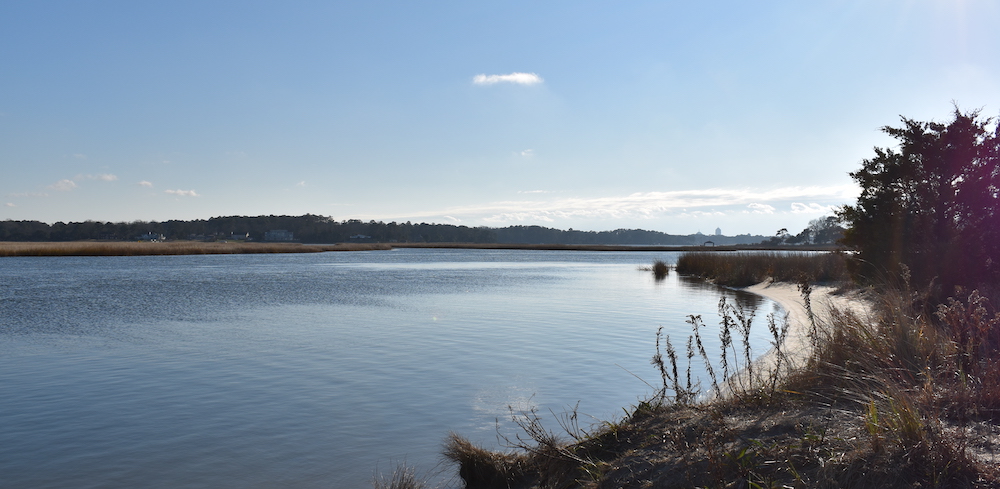 Una imagen de un lago con un poco de arena en la orilla y algunos árboles en la tierra