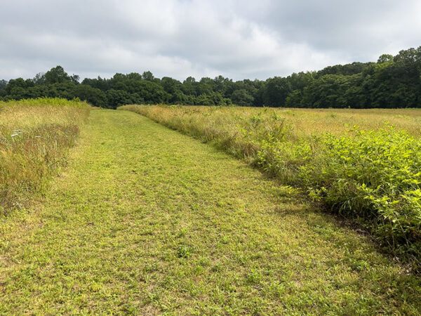 Una sección del recorrido de campo traviesa de 5K.