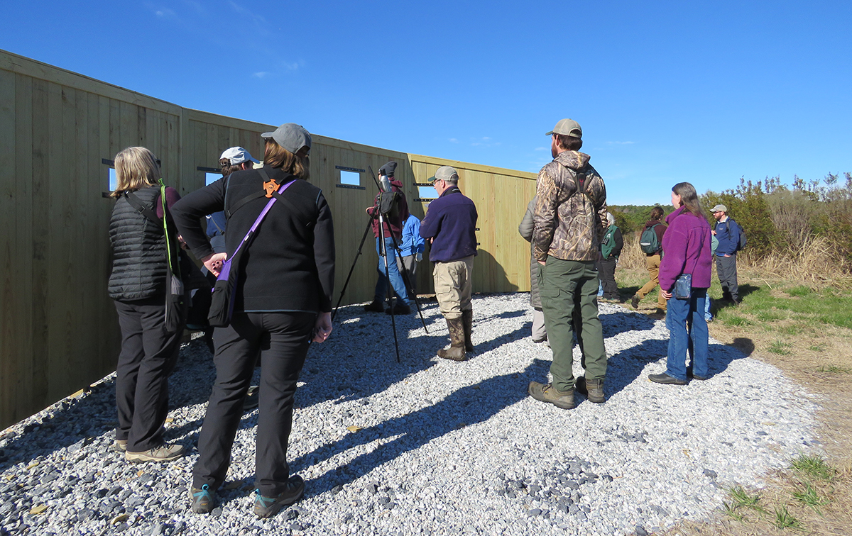 Una imagen de un grupo de participantes de un tour de observación de aves mirando desde una pared de observación de vida silvestre