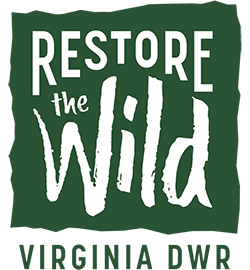 Haga clic para abrir el enlace a la página web de Virginia DWR restore the wild