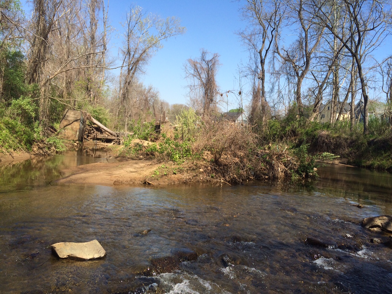 Mirando río arriba antes de la remoción de la presa Moores Creek; Hay parches claros de arroyos obstruidos y el agua está ligeramente estancada 