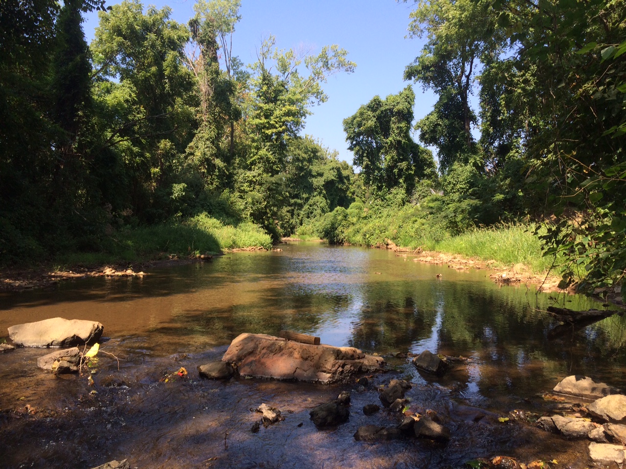 Mirando río arriba 3 meses después de la remoción de la represa de Moores Creek, los escombros se han despejado y el río está sin parches, sin agua