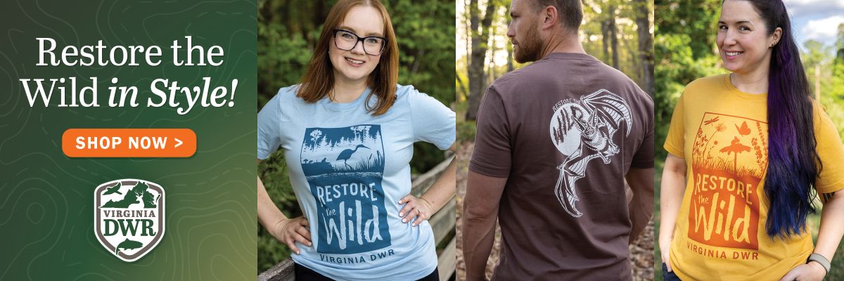 ¡Restaura lo salvaje con estilo! Compra camisetas nuevas ahora