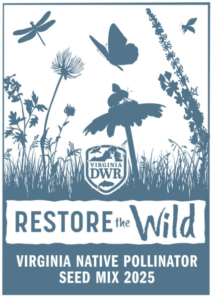 Un paquete de semillas, etiquetadas como Virginia Native Pollinator Seed Mix 2024