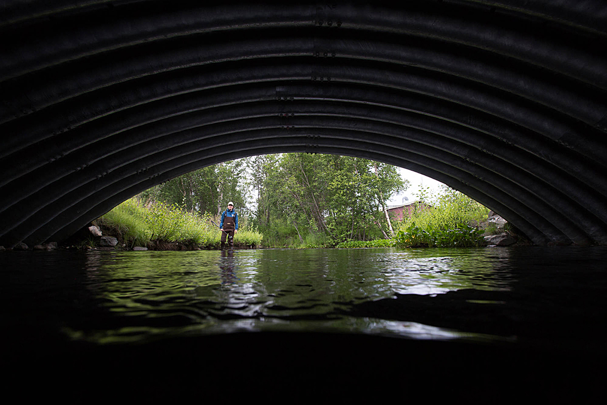 Una imagen de un pasaje metálico para peces que se construyó para reemplazar las barreras en el arroyo, lo que permite que la vía fluvial tenga una mayor variedad de especies de peces debido a que no restringe su movimiento.